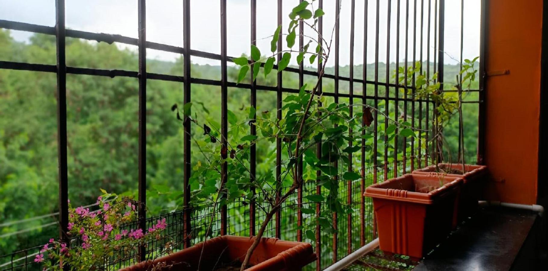 Abhayanand Agro Tourism Villa Ellora Luaran gambar